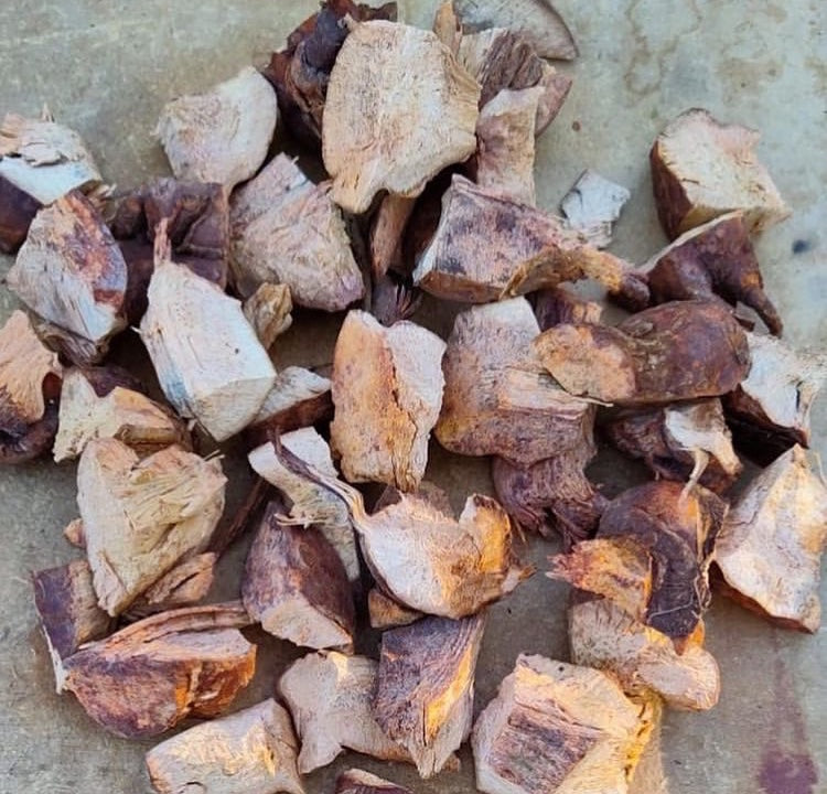 Jamaican Chaney Root