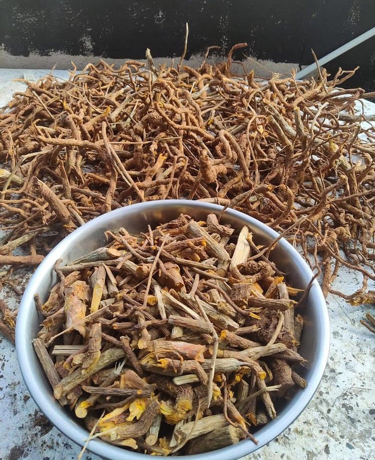 Jamaican Burdock Root