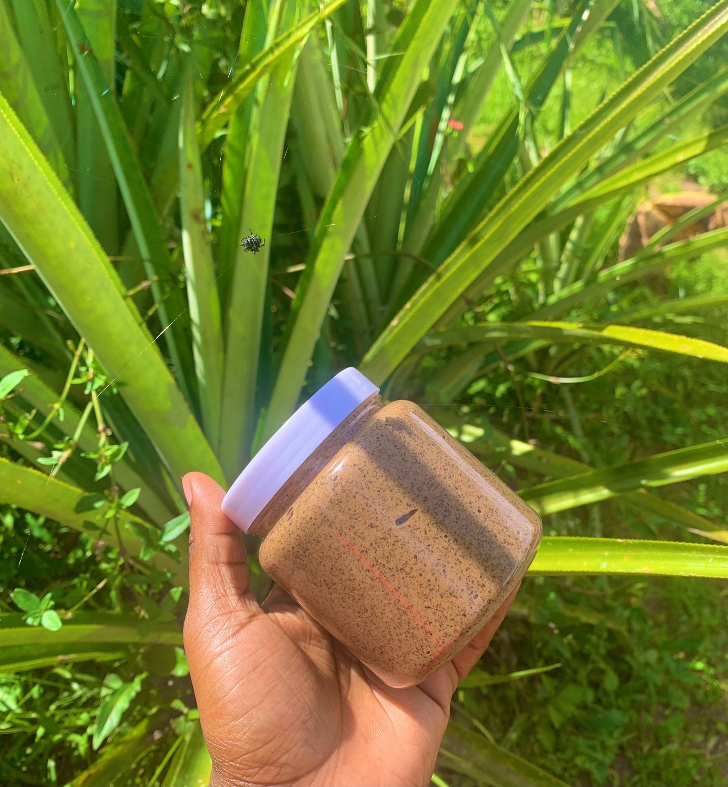 Coconut Cookie Monster Body Scrub