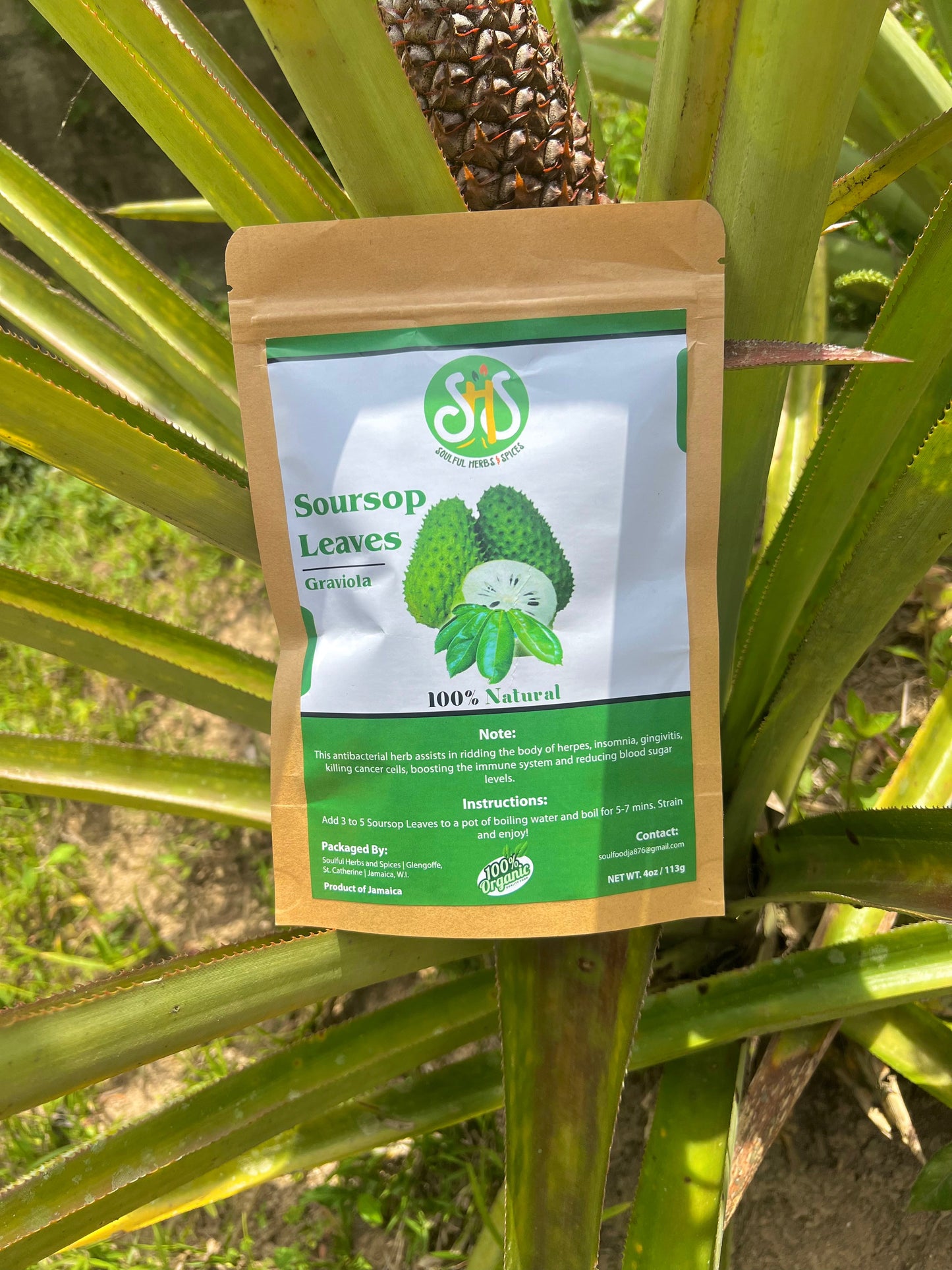 Jamaican Soursop Leaves