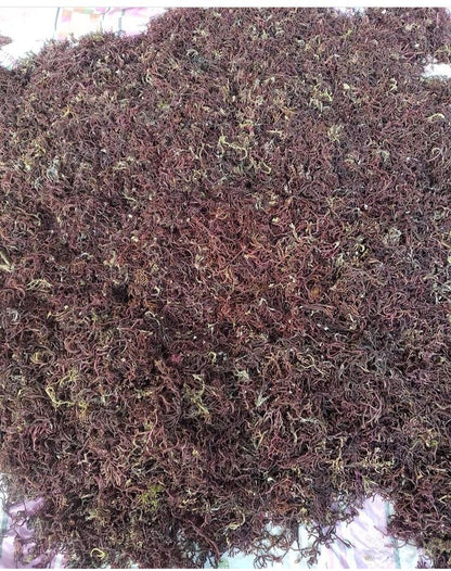 King Purple Wildcrafted Seamoss