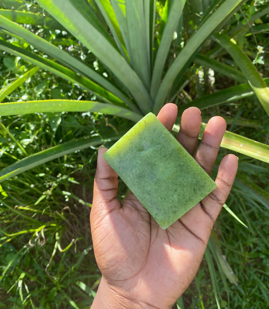 Jamaican Cerasee Soap