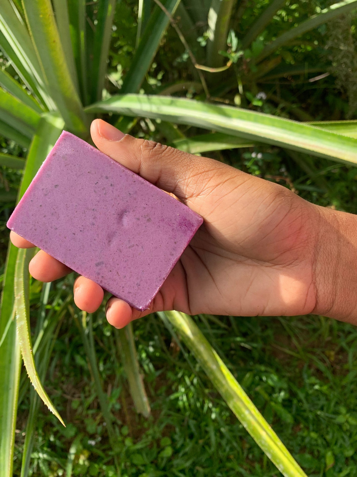 Jamaican Purple Seamoss Soap