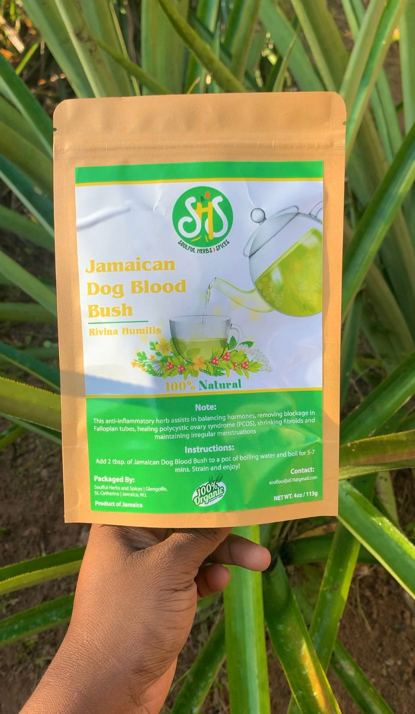 Jamaican Dog blood bush tea