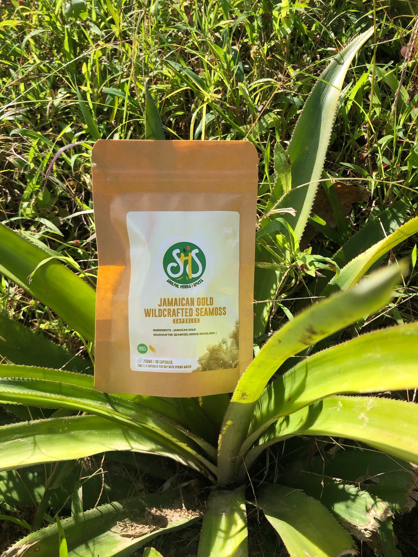 Jamaican Wildcrafted Seamoss Capsules