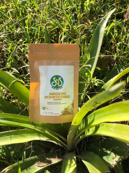 Jamaican Wildcrafted Seamoss Capsules