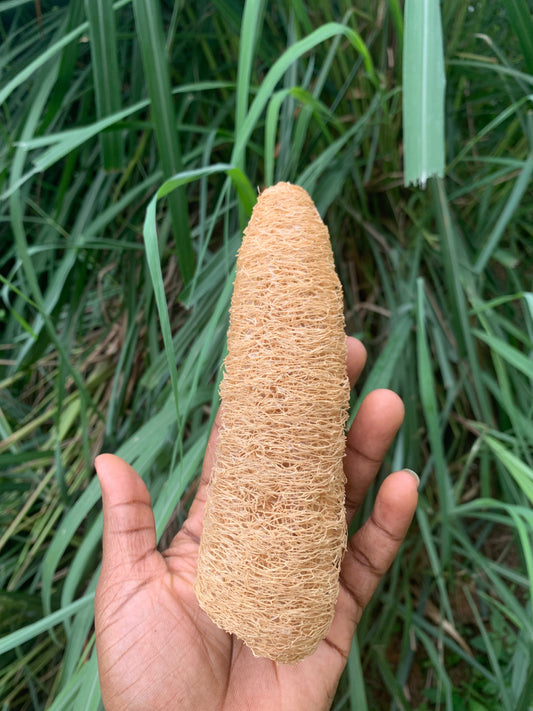 Loofah Sponge